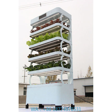 Smart Garden Vertical - arming Home Sistemas de cultivo hidropônicoNova