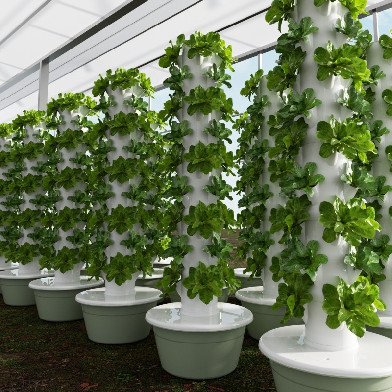 Smart Garden Vertical - 2024 sistemas de cultivo hidropônico de