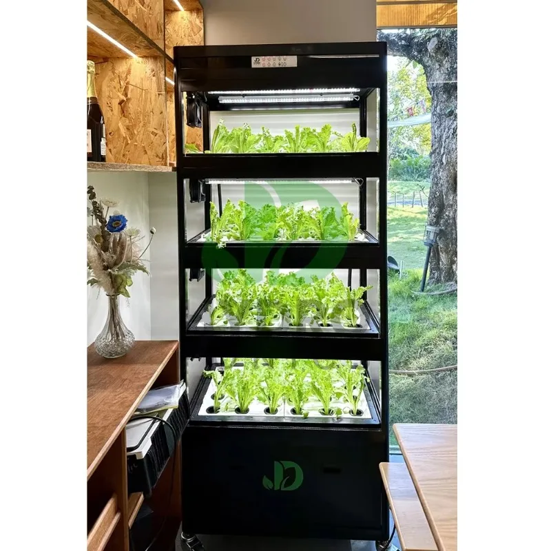 Aquaponics Home Kit - Kit de cultivo de gabinete hidropônico