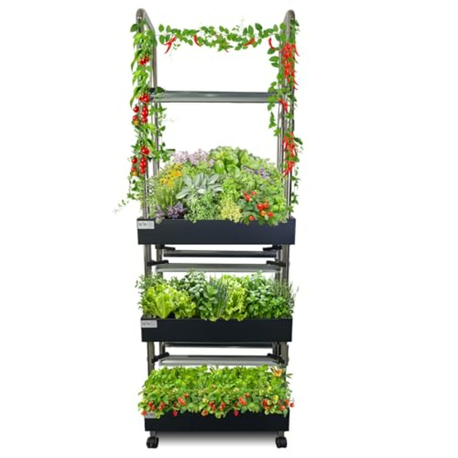 Smart Garden Vertical - Sistema de cultivo hidropônico interno: jardim