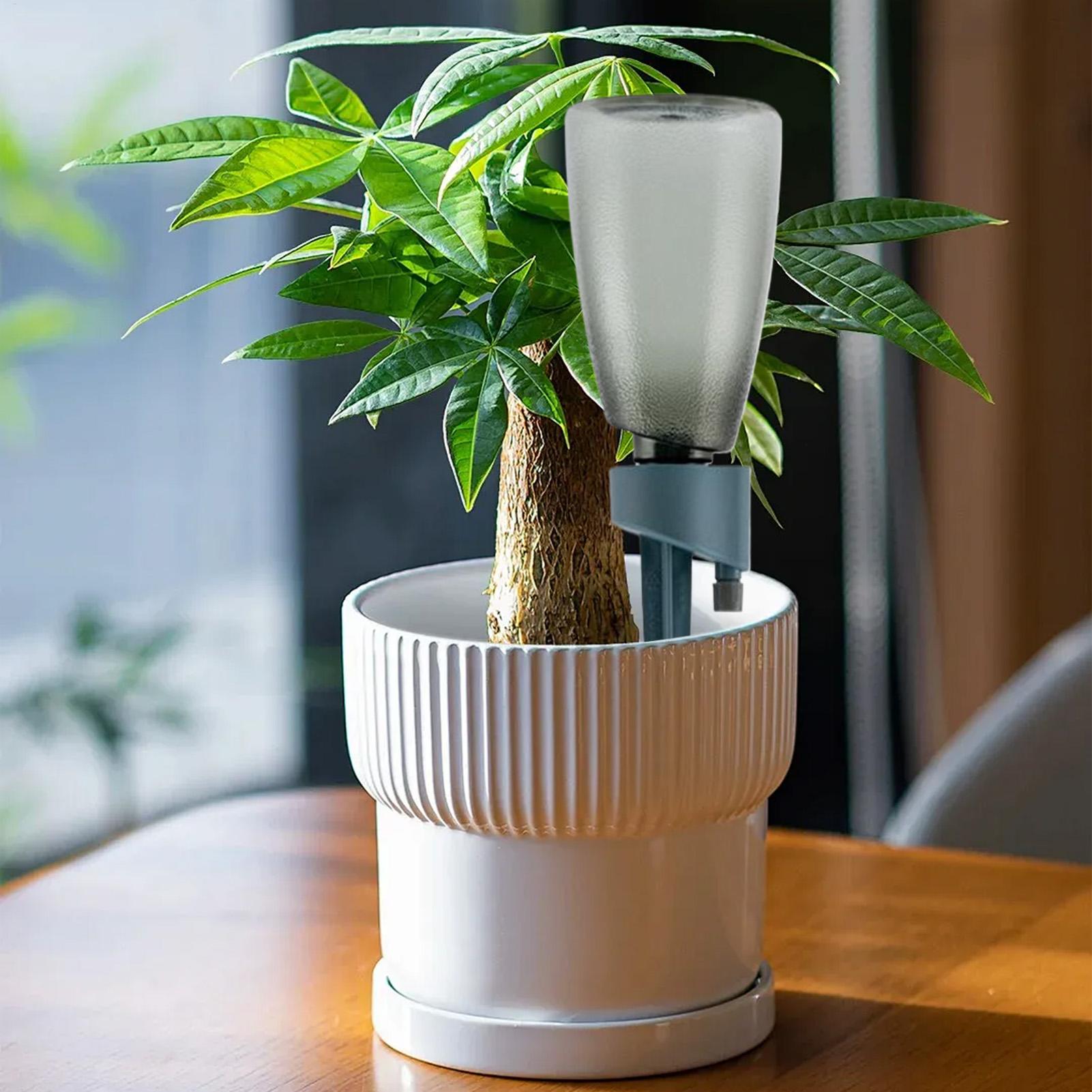 Conjunto de 6 Dispositivos de  - Smart Garden Project avaliação e preço