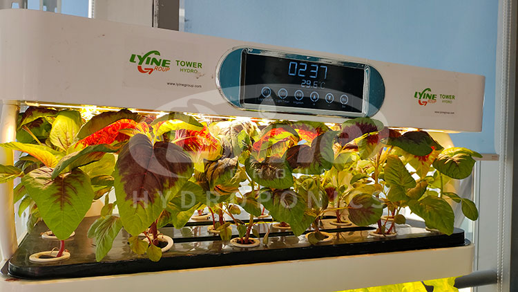 Nova chegada interior intelige - Smart Garden Vertical avaliação e preço