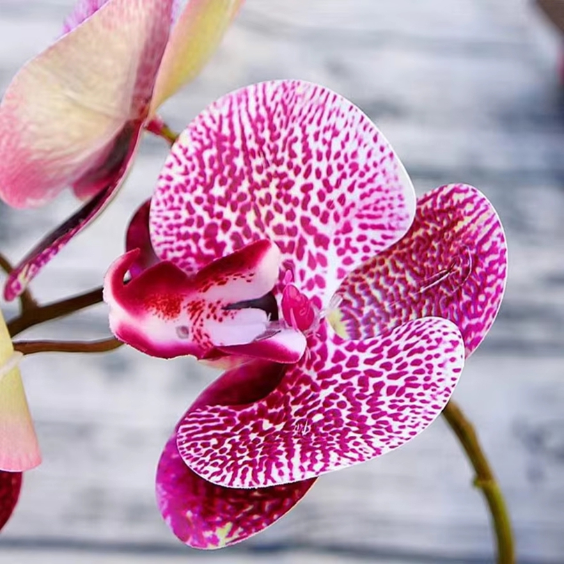 3d flores artificiais de plást - Smart Garden Storage avaliação e preço