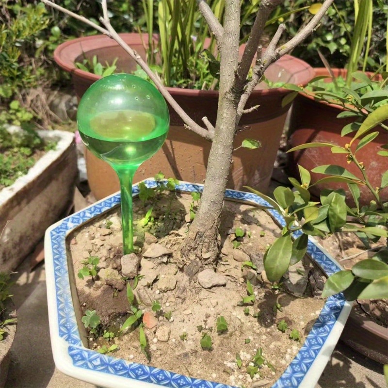 6PCS Bolas de Irrigação Automá - Smart Garden Project avaliação e preço