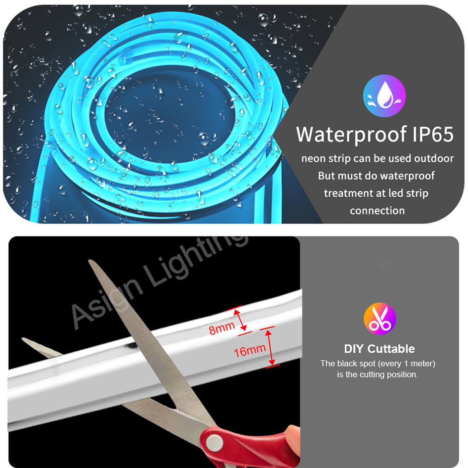 Inteligente rgb led luz de néo - Smart Garden Uk avaliação e preço