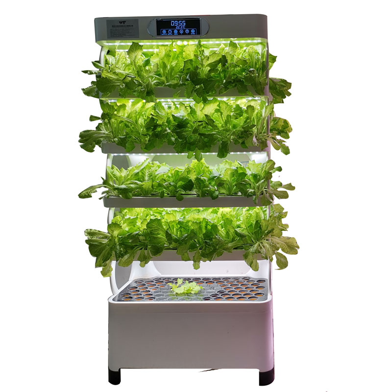 Jardim Vertical Hidropônico In - Smart Garden Vertical avaliação e preço