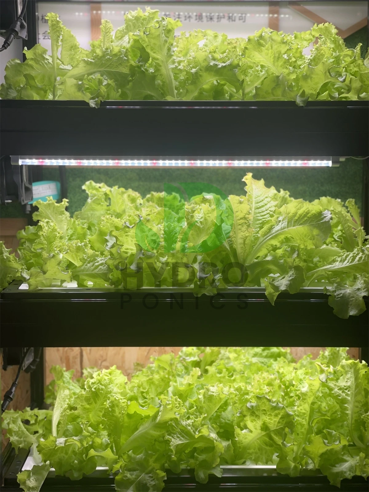 Casa interior inteligente led  - Aquaponics Home Kit avaliação e preço