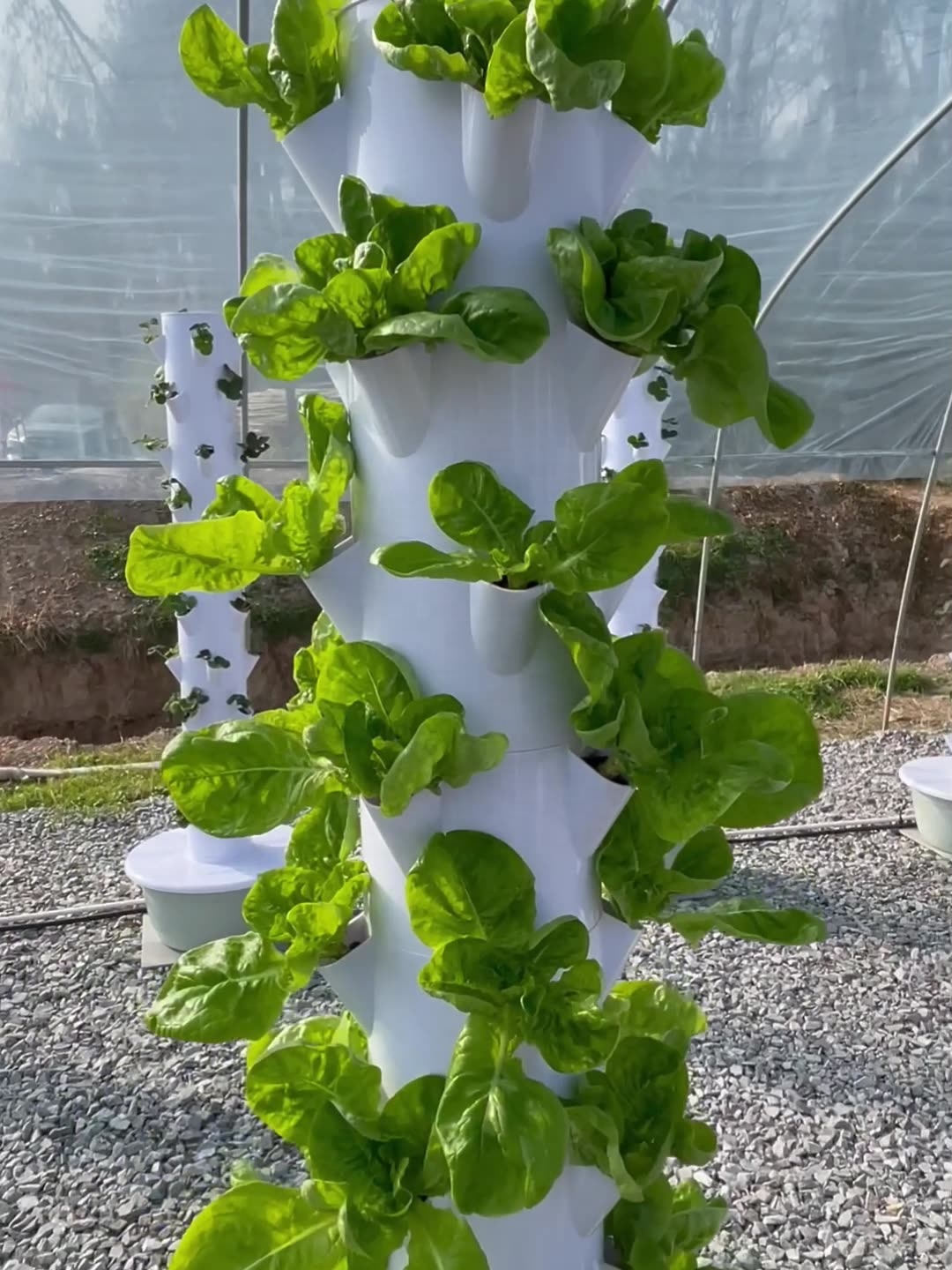 2024 sistemas de cultivo hidro - Smart Garden Vertical avaliação e preço