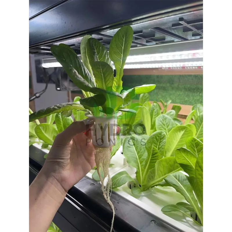 Kit de cultivo de gabinete hid - Aquaponics Home Kit avaliação e preço
