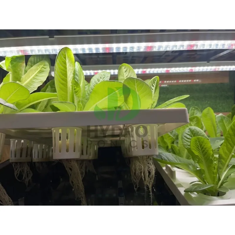 Kit de cultivo de gabinete hid - Aquaponics Home Kit avaliação e preço